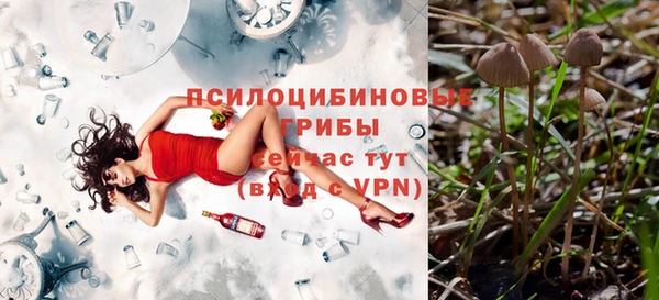 спайс Абинск